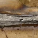 welding porosity