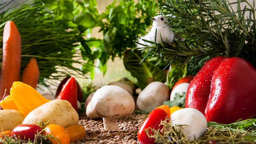 Various herbs and fresh vegetables grown in an indoor garden